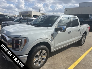 2023 Ford F-150 for sale in Rosenberg TX