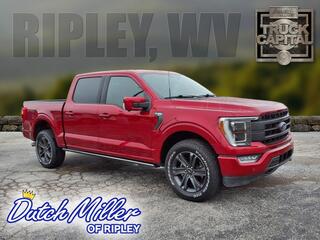 2023 Ford F-150 for sale in Ripley WV