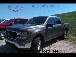 2023 Ford F-150 for sale in Morristown TN