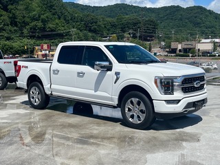 2023 Ford F-150 for sale in Waynesville NC
