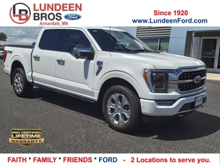 2023 Ford F-150 for sale in Annandale MN