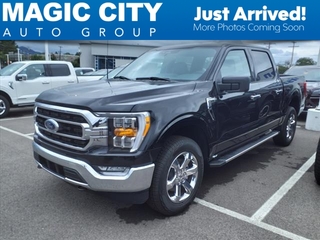 2023 Ford F-150 for sale in Roanoke VA