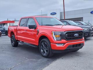 2023 Ford F-150 for sale in Bowling Green KY