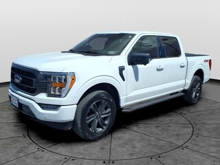 2023 Ford F-150 for sale in Martinsburg WV