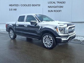 2021 Ford F-150 for sale in Monroe MI