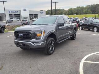 2021 Ford F-150 for sale in Malvern AR