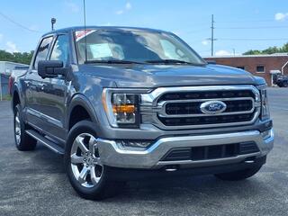 2021 Ford F-150 for sale in Shelbyville IN