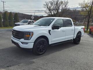 2022 Ford F-150 for sale in Princeton WV