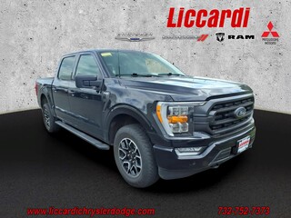 2023 Ford F-150 for sale in Greenbrook NJ