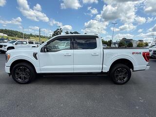 2023 Ford F-150 for sale in Dandridge TN
