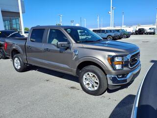 2023 Ford F-150 for sale in Bowling Green KY
