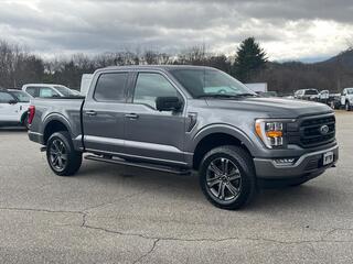 2023 Ford F-150 for sale in Canton NC