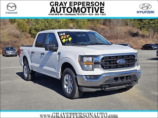 2023 Ford F-150 for sale in Cleveland TN