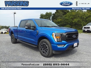 2021 Ford F-150 for sale in Martinsburg WV