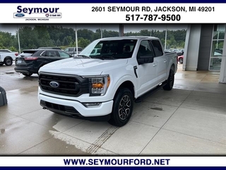 2021 Ford F-150 for sale in Jackson MI