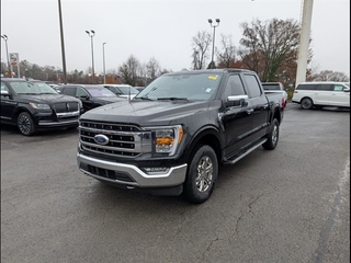 2023 Ford F-150 for sale in Knoxville TN