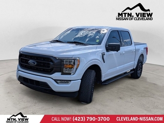 2023 Ford F-150 for sale in Mcdonald TN