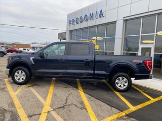 2023 Ford F-150 for sale in Fredonia NY