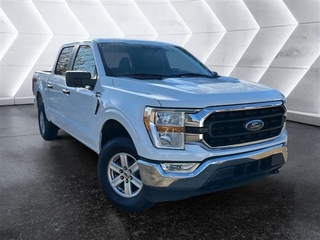 2021 Ford F-150 for sale in Batesville MS