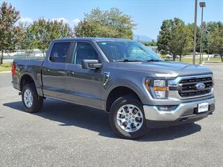 2023 Ford F-150 for sale in Chatsworth GA