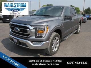 2023 Ford F-150 for sale in Chadron NE