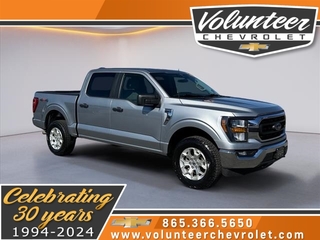 2023 Ford F-150 for sale in Sevierville TN