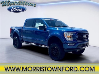 2023 Ford F-150 for sale in Morristown TN