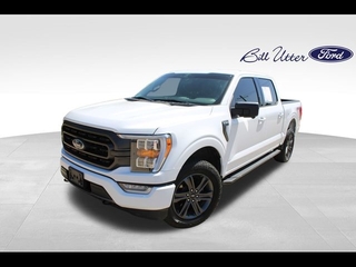 2023 Ford F-150 for sale in Denton TX