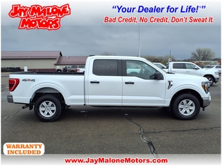 2023 Ford F-150 for sale in Hutchinson MN