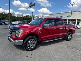 2023 Ford F-150 for sale in Knoxville TN