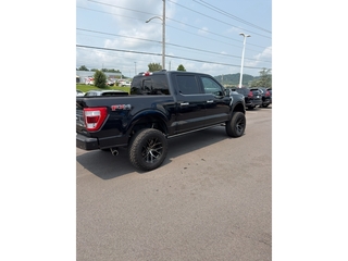 2023 Ford F-150 for sale in Johnson City TN
