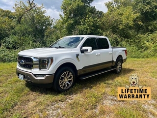 2023 Ford F-150 for sale in Lenoir NC