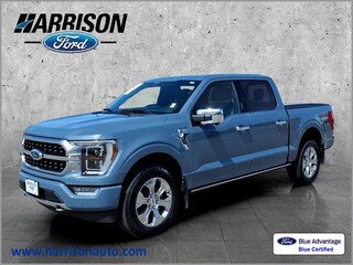 2023 Ford F-150 for sale in Mankato MN