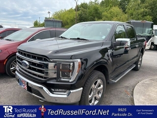 2023 Ford F-150 for sale in Knoxville TN