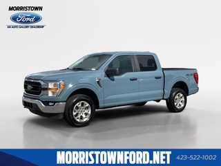 2023 Ford F-150 for sale in Morristown TN