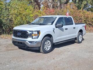2023 Ford F-150 for sale in Belleville MI