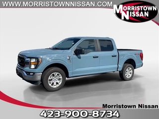 2023 Ford F-150 for sale in Morristown TN