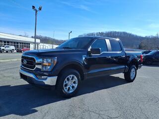 2023 Ford F-150 for sale in Johnson City TN
