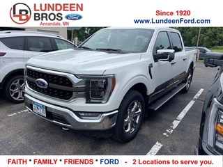 2022 Ford F-150 for sale in Annandale MN