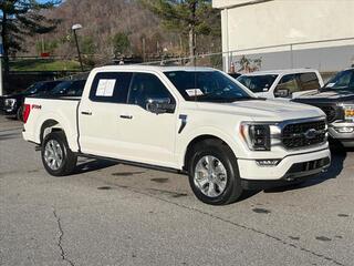 2023 Ford F-150 for sale in Canton NC