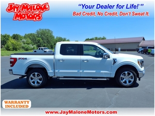 2023 Ford F-150 for sale in Hutchinson MN