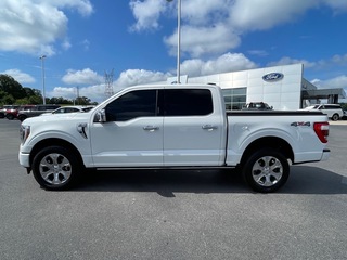 2023 Ford F-150 for sale in Dandridge TN