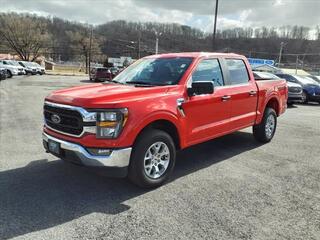 2023 Ford F-150 for sale in Princeton WV