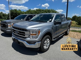 2023 Ford F-150 for sale in Boone NC