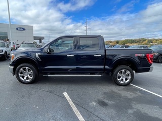 2023 Ford F-150 for sale in Dandridge TN
