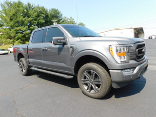 2021 Ford F-150 for sale in Clarksville TN