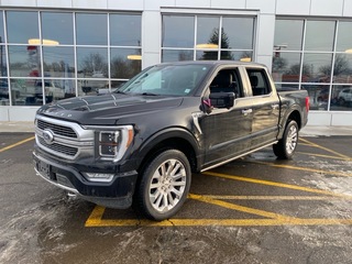 2021 Ford F-150 for sale in Fredonia NY