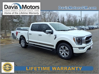 2021 Ford F-150 for sale in Litchfield MN