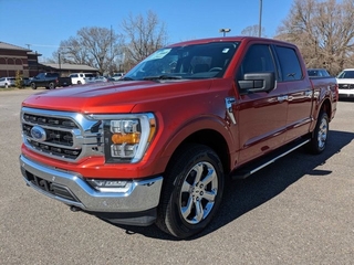 2023 Ford F-150 for sale in Shelby NC