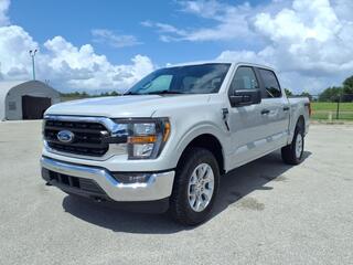 2023 Ford F-150 for sale in Houston TX